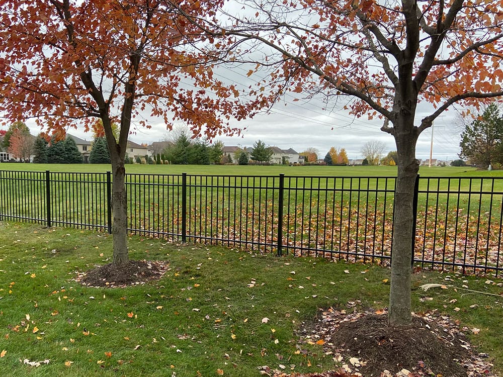 Photo-of-Black-Aluminum-Classic-Fence-5-Foot---Installed-in-Downers-Grove-Illinois